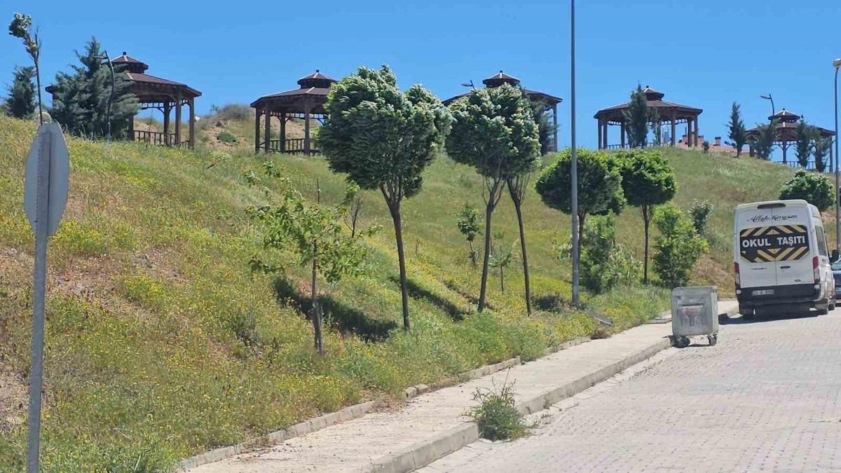 Elazığ’da şiddetli rüzgar etkili oldu