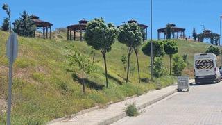 Elazığ’da şiddetli rüzgar etkili oldu