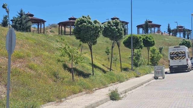Elazığ’da şiddetli rüzgar etkili oldu