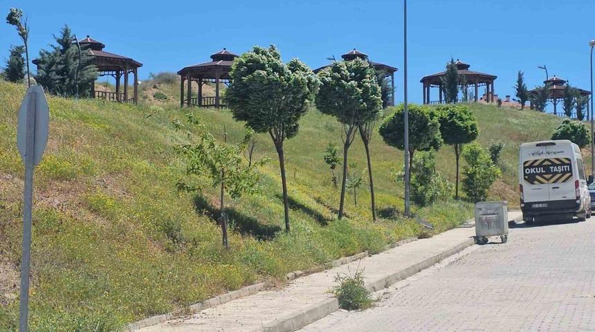 Elazığ&rsquo;da şiddetli r&uuml;zgar etkili oldu