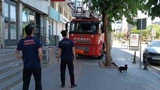 Batman’da vefakar kedi arkadaşını yalnız bırakmadı