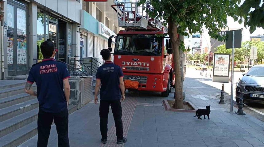Batman&rsquo;da vefakar kedi arkadaşını yalnız bırakmadı