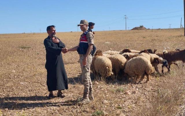 Kaybolan k&uuml;&ccedil;&uuml;kbaş hayvanları jandarma buldu 1