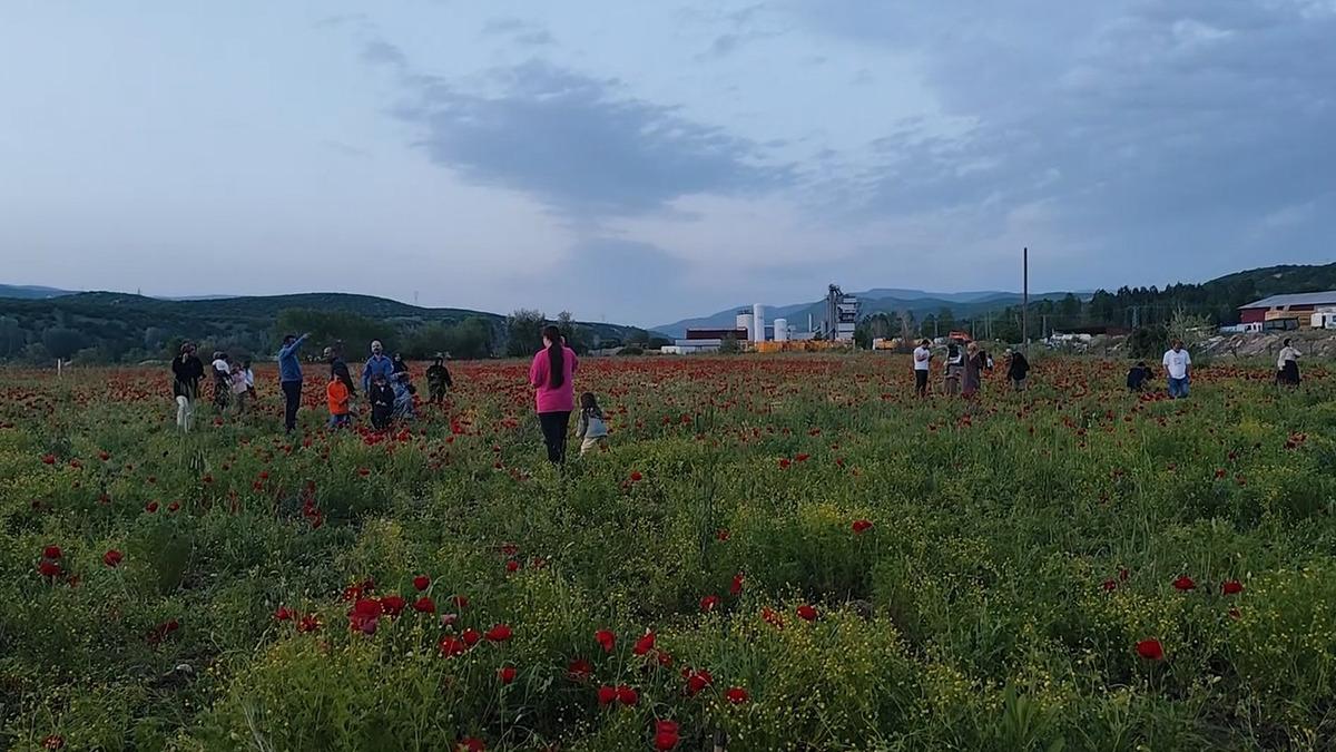 Gören 100 araçtan 95'i duruyor: 'Kaçırmayın derim'