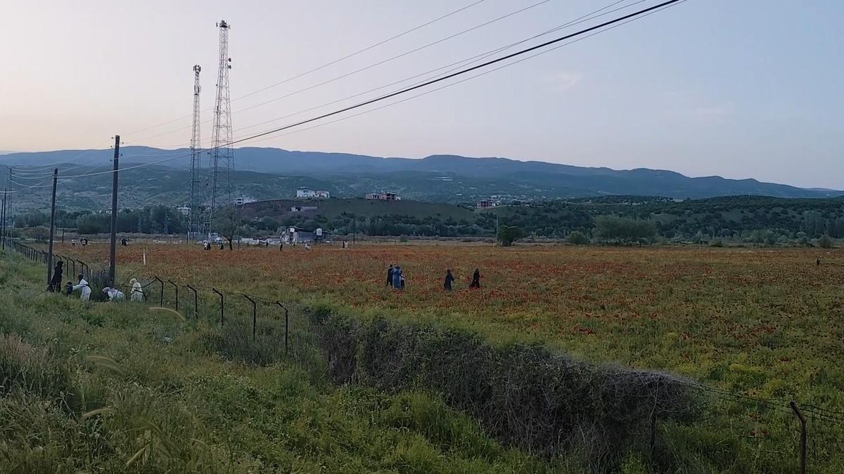 Gören 100 araçtan 95 i duruyor: Kaçırmayın derim 1