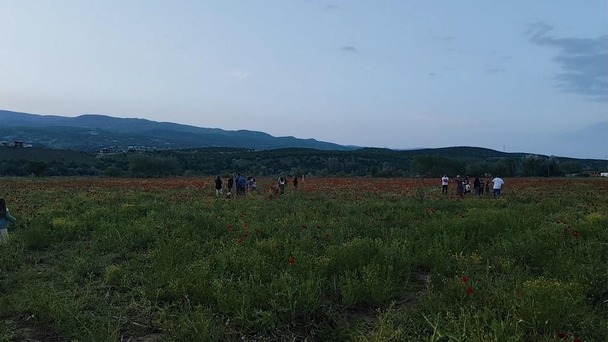 Gören 100 araçtan 95 i duruyor: Kaçırmayın derim 2