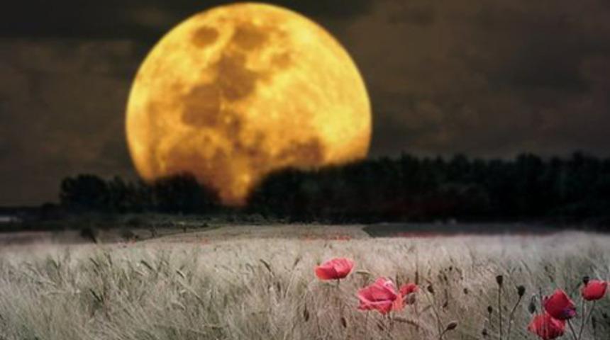 Boğa burcunda Dolunay