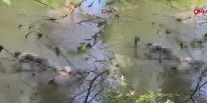  Edirne'den kahreden haber! 9 saat arayla cansız bedenleri bulundu