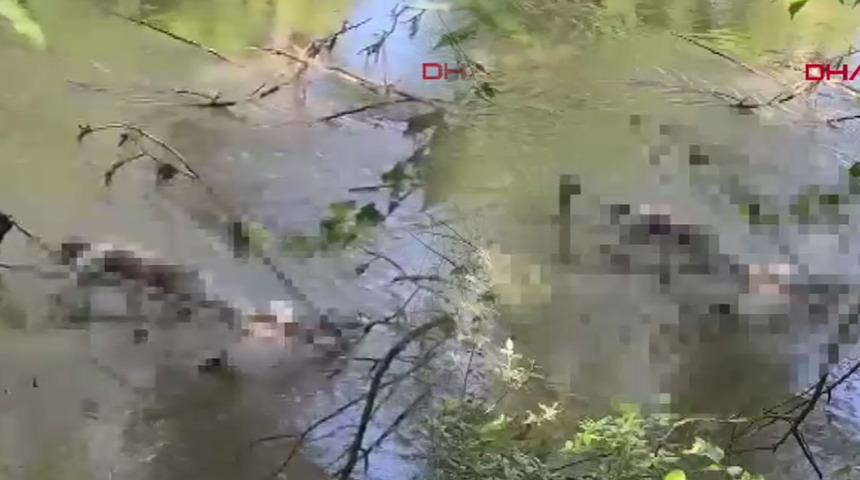 Bayramın son g&uuml;n&uuml; Edirne'den kahreden haber! 9 saat arayla cansız bedenleri bulundu