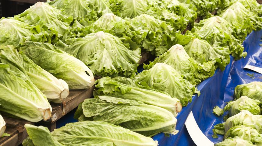 Aman dikkat: Maruldaki koli basili can aldı