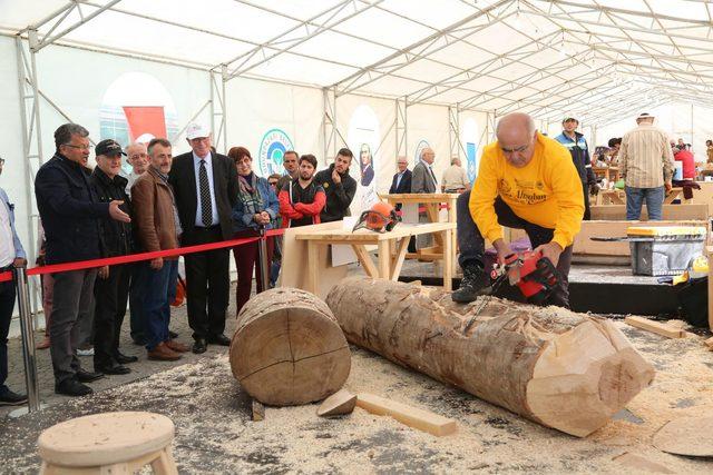 Eskişehir de Ahşap Heykel Festivali 1