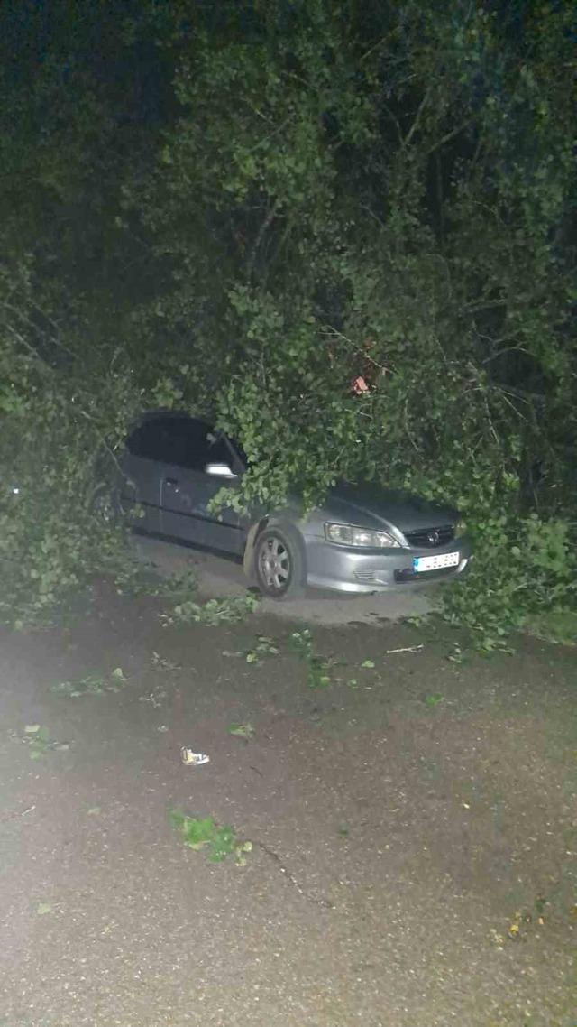 Bartın&rsquo;da şiddetli fırtına: ağa&ccedil;lar Otomobillerin &uuml;zerine devrildi 6
