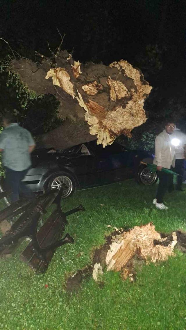 Bartın&rsquo;da şiddetli fırtına: ağa&ccedil;lar Otomobillerin &uuml;zerine devrildi 4