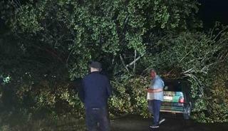 Bartın&rsquo;da şiddetli fırtına: ağa&ccedil;lar Otomobillerin &uuml;zerine devrildi