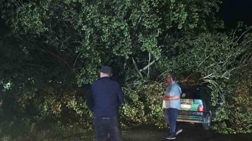 Bartın&rsquo;da şiddetli fırtına: ağa&ccedil;lar Otomobillerin &uuml;zerine devrildi