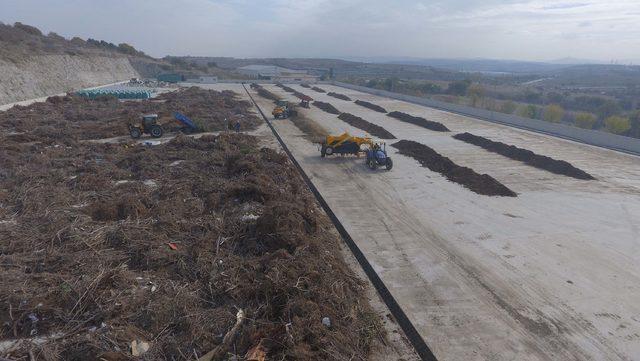 Budanan ağaçlar organik gübreye dönüşüyor