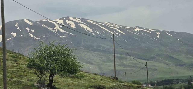 G&uuml;roymak&rsquo;ın reng&acirc;renk misafirleri: Arı kuşları g&ouml;rsel ş&ouml;len sunuyor 2