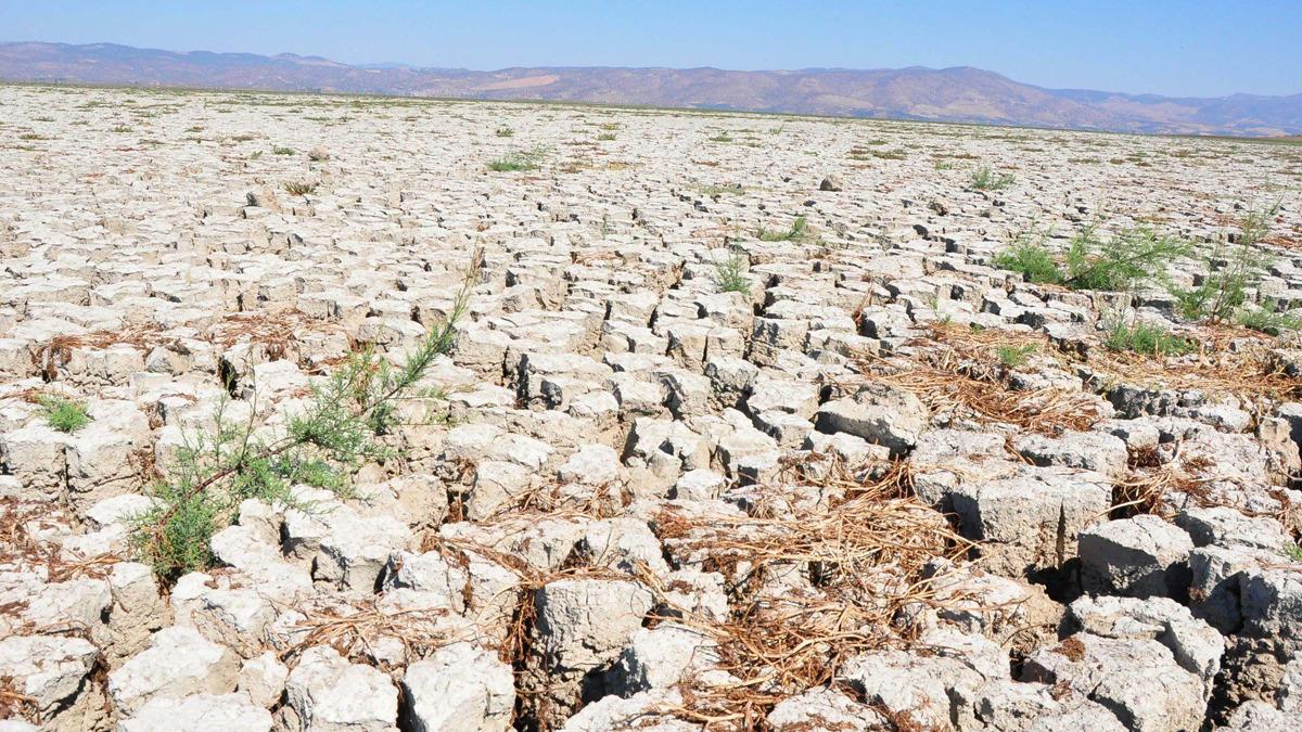 Yaz için tedirgin eden uyarı: "Ekstrem sıcaklıkların yaşanması mümkün" 1