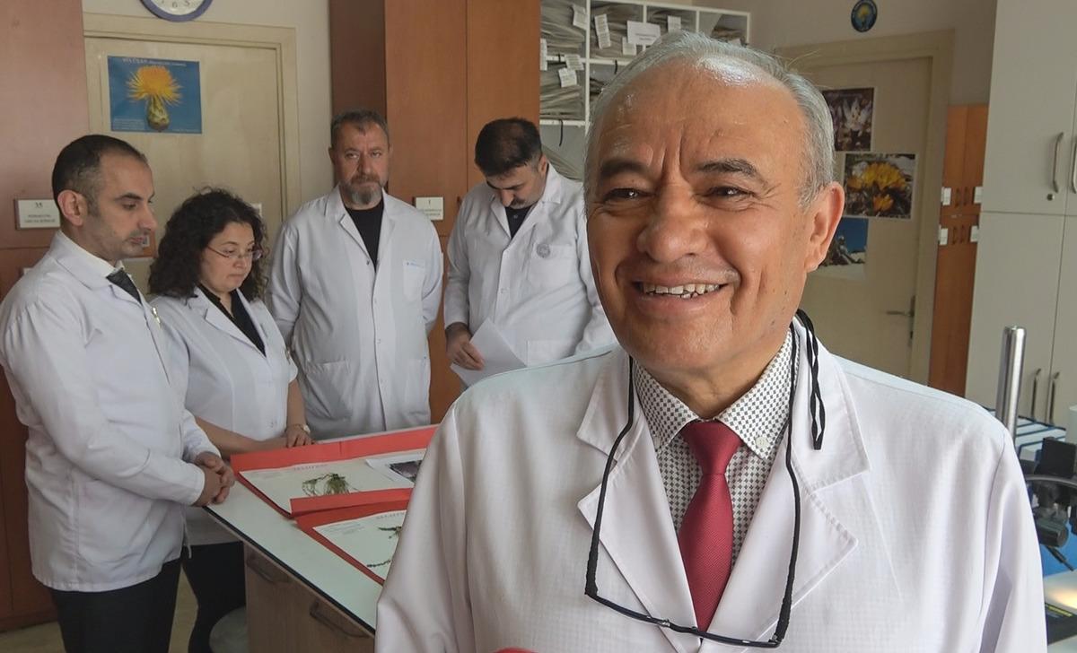 45 ilde araştırıldı: 4 yeni bitki türü bulundu! Eşinin adını verdi 6