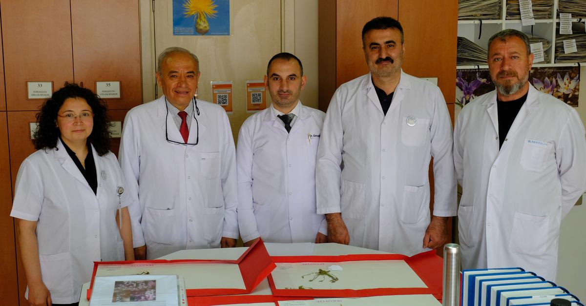 45 ilde araştırıldı: 4 yeni bitki türü bulundu! Eşinin adını verdi 5
