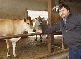 Hacıince: Et fiyatında istikrar için yerli üretime destek zorunludur