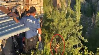 Tedaviyi reddedip kaçtı başına gelmeyen kalmadı: Dere yatağına düştü, ağaçta asılı kaldı