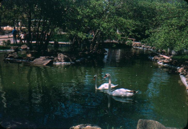 Burayı tanıyabildiniz mi? G3