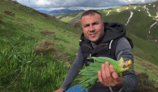 Kilosu 50 TL! Dağlarda yetişiyor, tam bir şifa deposu...