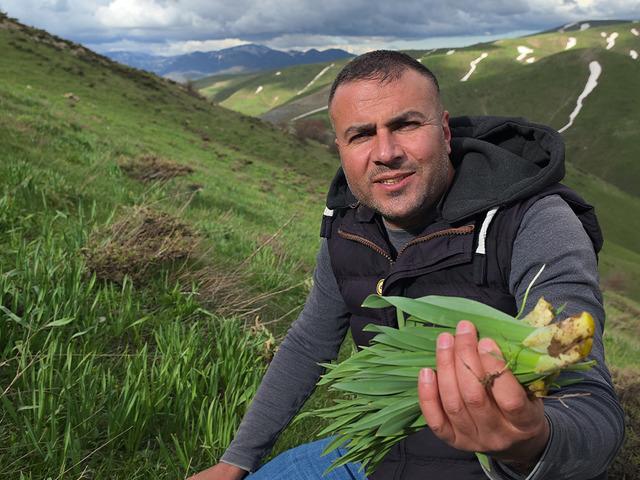Kilosu 50 TL! Dağlarda yetişiyor, tam bir şifa deposu...