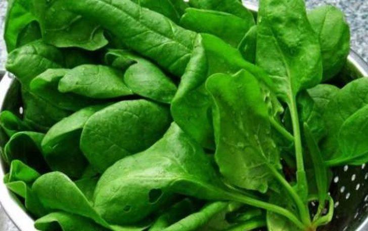 Akciğer kanseri ve astım hastaları dikkat! Bu besinler mucize G4