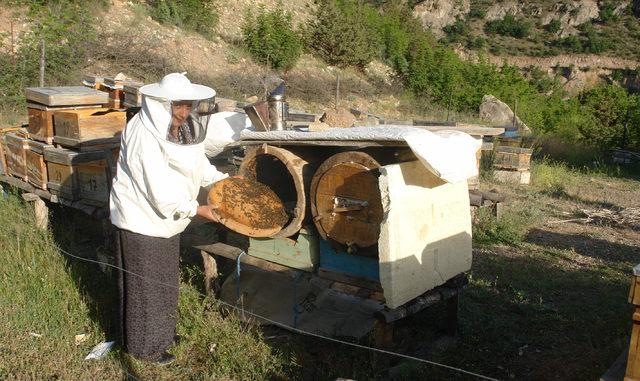 Artvinli kadın arıcı, bal üretim sezonunu açtı