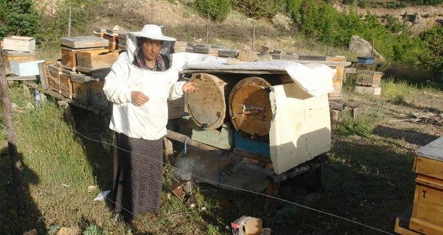 Artvinli kadın arıcı, bal üretim sezonunu açtı