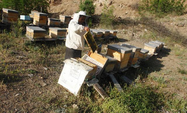 Artvinli kadın arıcı, bal üretim sezonunu açtı