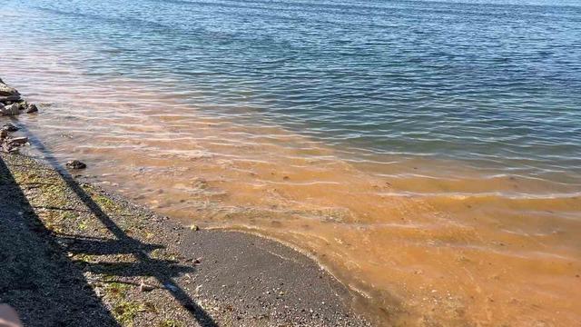 Mudanya’da müsilajdan sonra turuncu alarm 5