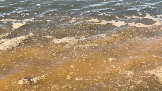 Mudanya’da müsilajdan sonra turuncu alarm 4