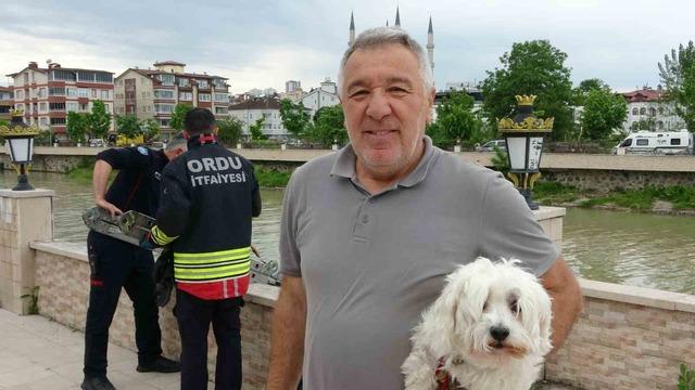 Ordu&rsquo;da ırmak yatağında mahsur kalan k&ouml;pekleri itfaiye kurtardı 4