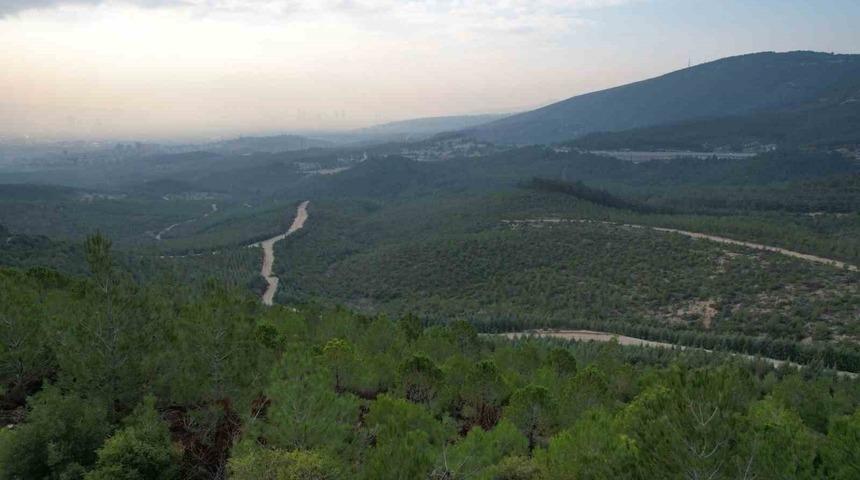 İzmir&rsquo;de ormanlara giriş yasağı başladı