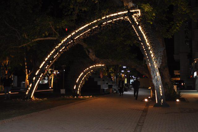 205 yıllık &ccedil;ınara demir profilli destek 1