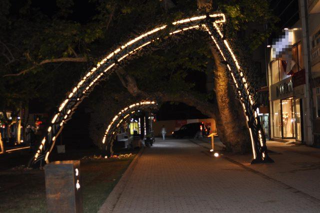 205 yıllık &ccedil;ınara demir profilli destek 2