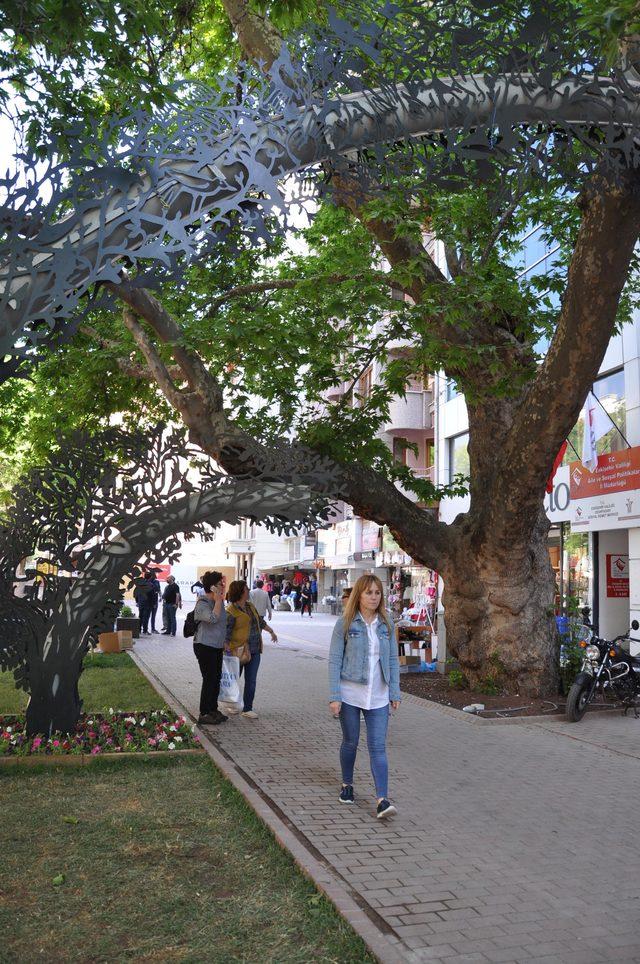 205 yıllık &ccedil;ınara demir profilli destek 3