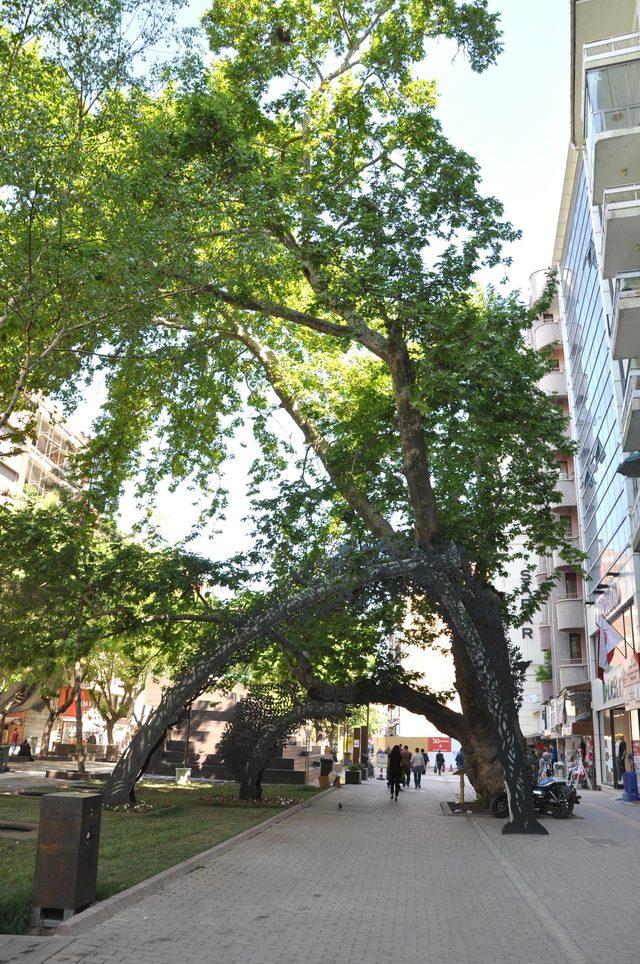 205 yıllık &ccedil;ınara demir profilli destek 4