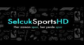 Ka�ak yay�na operasyon! Sel�uksport'un sahibi g�zalt�na al�nd�