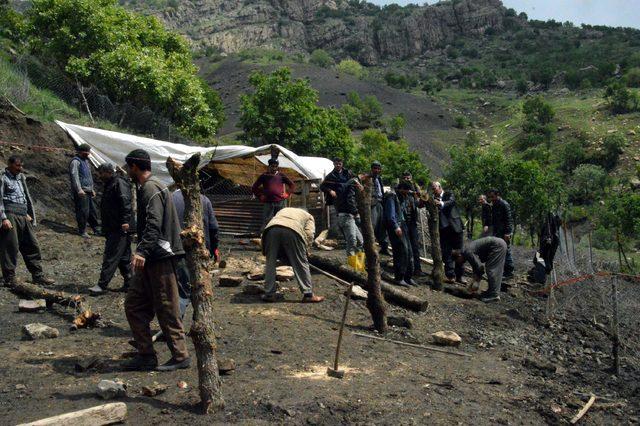 Şırnak'ta ahır çöktü; 82 hayvan telef oldu