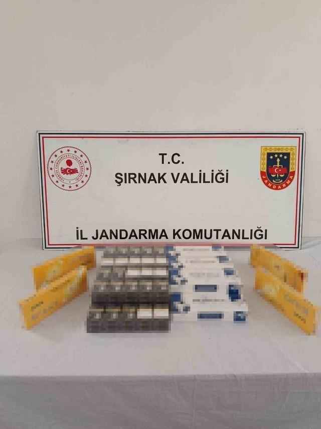 Şırnak&rsquo;ta jandarmadan asayiş, ka&ccedil;ak&ccedil;ılık ve narkotik operasyonu 3