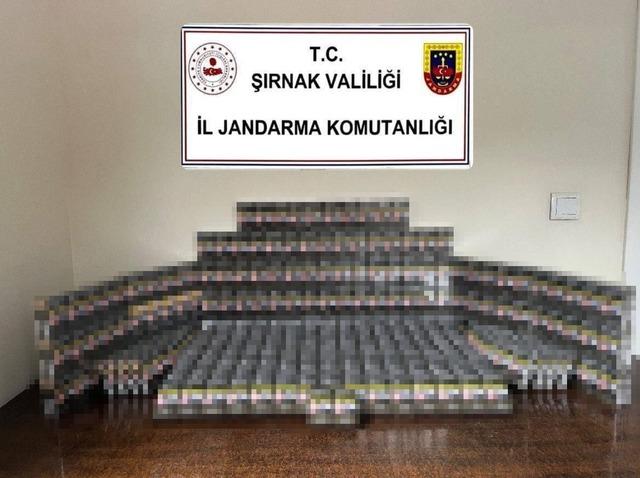 Şırnak&rsquo;ta jandarmadan asayiş, ka&ccedil;ak&ccedil;ılık ve narkotik operasyonu 2