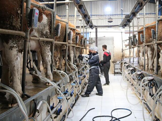 S&uuml;t &uuml;reticilerine 6 yılda 24,6 milyar lira destek verildi