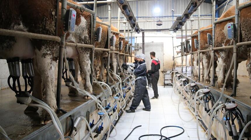 S&uuml;t &uuml;reticilerine 6 yılda 24,6 milyar lira destek verildi
