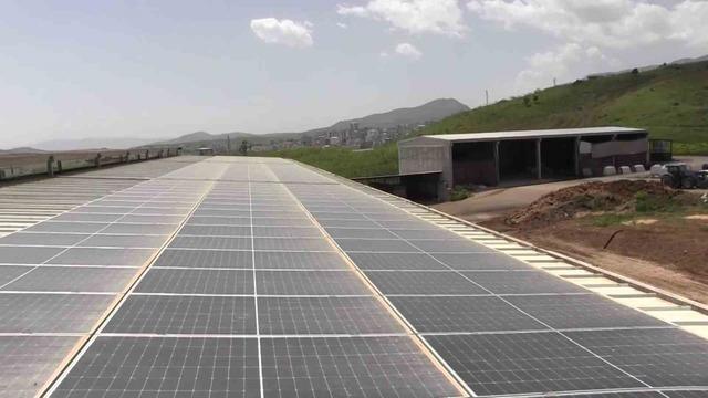 Siirt teki işletme, g&uuml;nde 3 ton s&uuml;t &uuml;retimiyle dikkat &ccedil;ekiyor 1