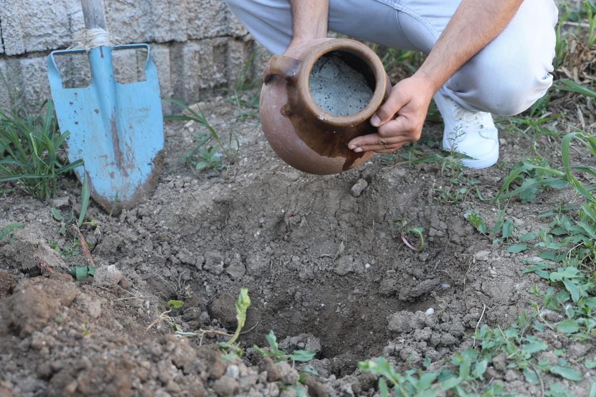 Herkes define sandı, topraktan 6 ay beklettiği kayıp lezzet çıktı! 6