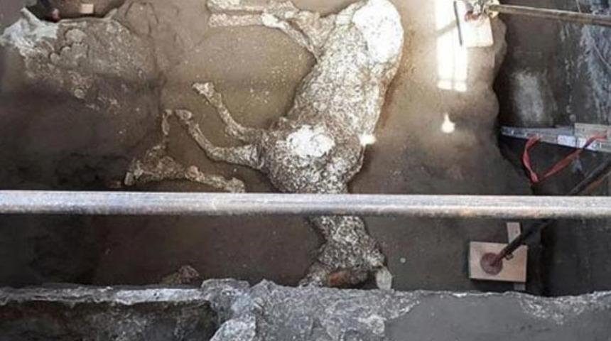 Mezar soyguncuları 'taşa d&ouml;n&uuml;şm&uuml;ş halde' buldu